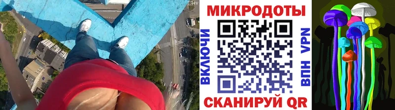 купить  цена  Лыткарино  Галлюциногенные грибы GOLDEN TEACHER 