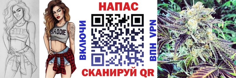 купить наркотики цена  Лыткарино  Бошки Шишки VHQ 
